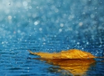 “雨热同台”的幕后推手
