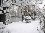 鹅毛大雪是怎样形成的