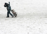 猝发型和持续型雪灾