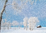 小雪的物候与农事