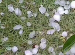 哪里冰雹砸伤人概率最大？