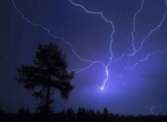 雷雨天气的注意事项有哪几条？